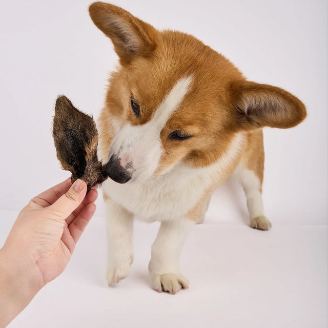 Laila and Me Kangaroo Ears with Fur