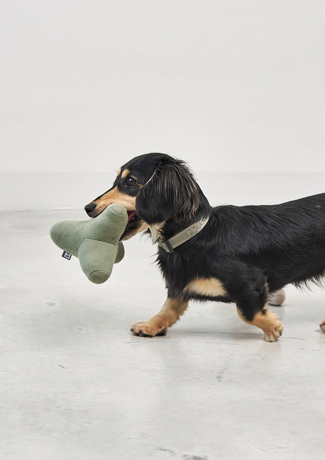 MiaCara Quattro Dog Toys