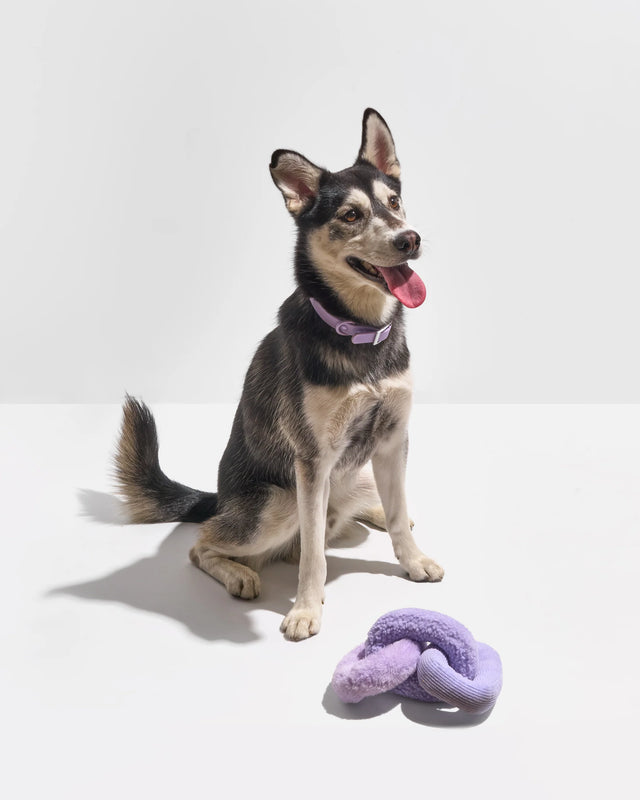 Wild One Dog Toy Chew Chain - Lilac