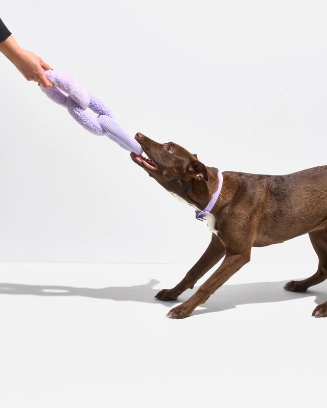 Wild One Dog Toy Chew Chain - Lilac