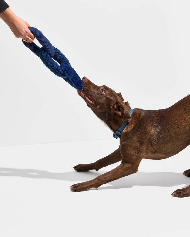 Wild One Dog Toy Chew Chain - Navy