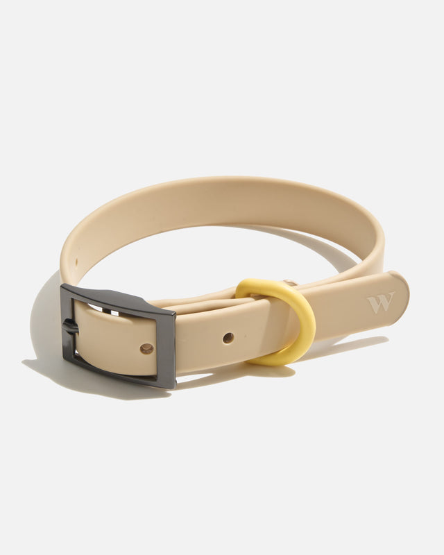Wild One Dog Collar -  Retro