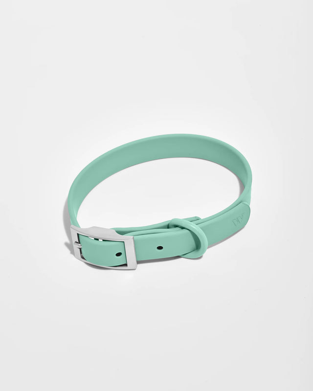 Wild One Dog Collar - Seafoam ✨ Limited Edition