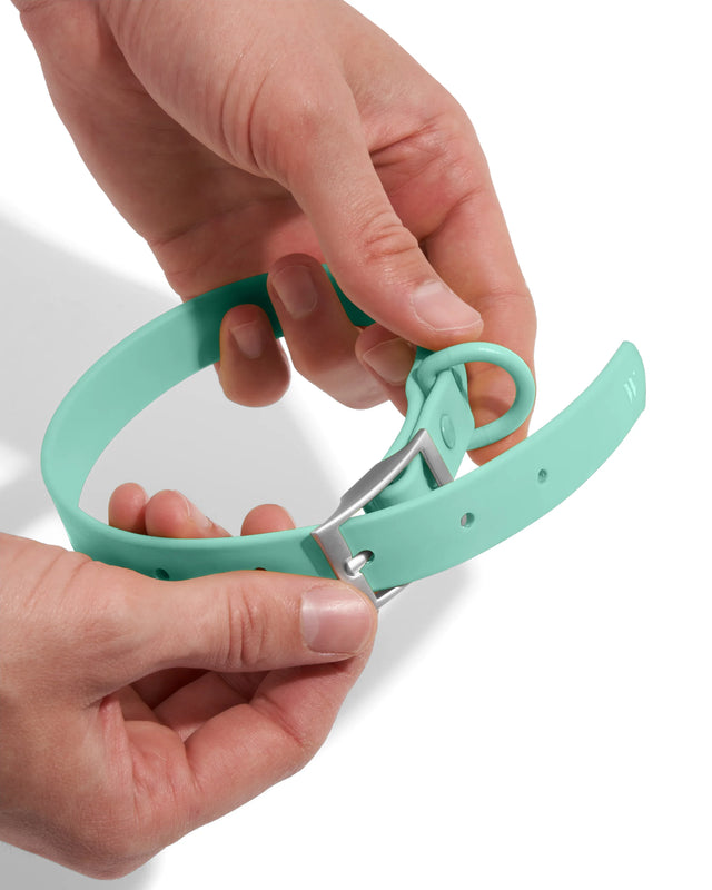 Wild One Dog Collar -  Seafoam ✨ Limited Edition