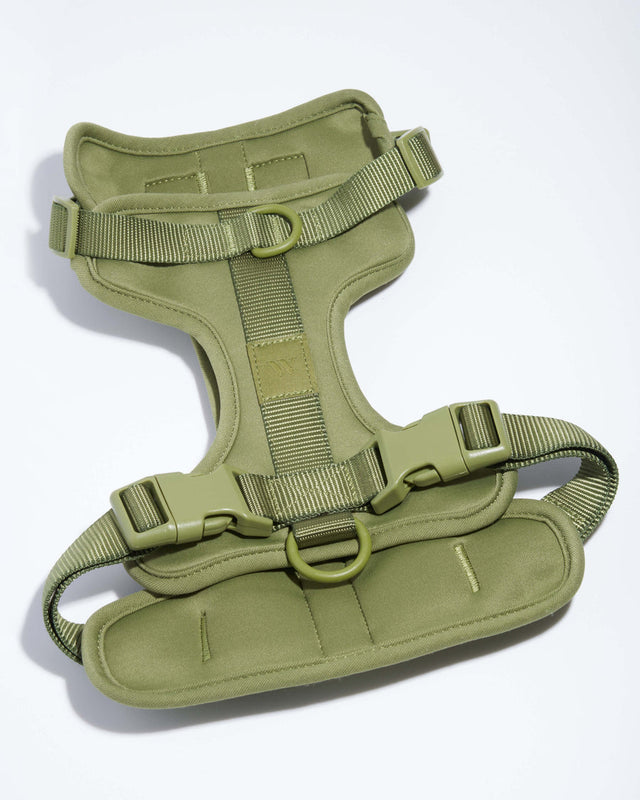 Wild One Dog Harness 2.0 - Moss ✨ Limited Edition
