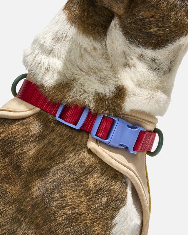 Wild One Dog Harness 2.0  - Retro