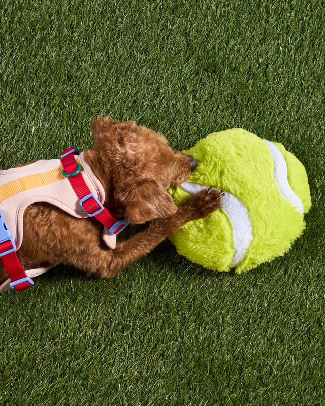 Wild One Dog Toy Playful Plush - Tennis Ball