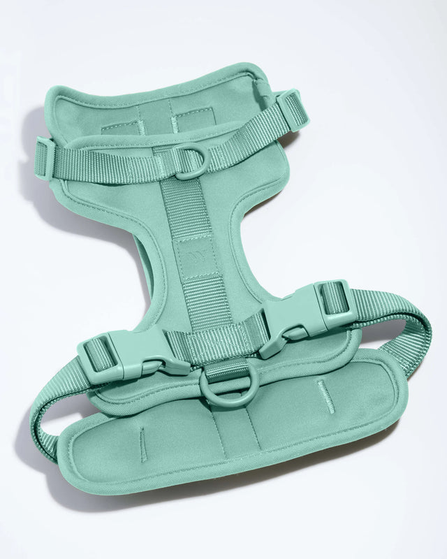 Wild One Dog Harness 2.0  - Seafoam ✨ Limited Edition