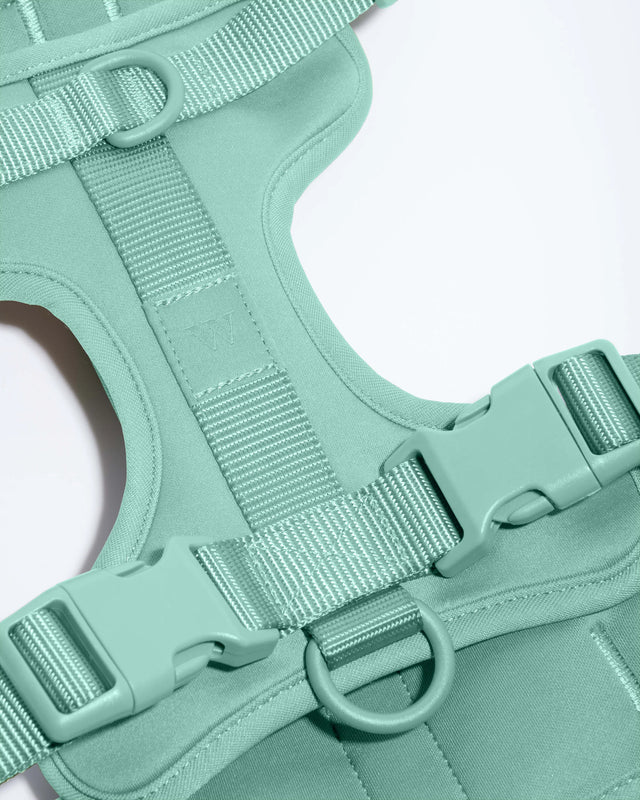 Wild One Dog Harness 2.0  - Seafoam ✨ Limited Edition