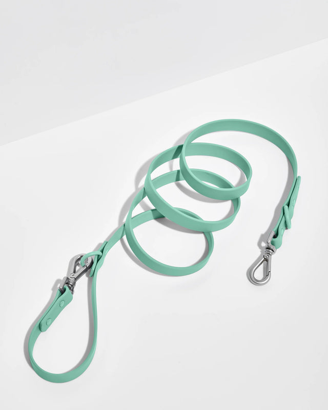 Wild One Dog Leash -Seafoam ✨ Limited Edition