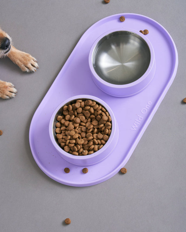 Wild One Dog Mealtime Kit