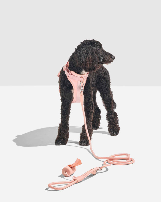 Wild One Dog Hands-Free Rope Leash - Pink