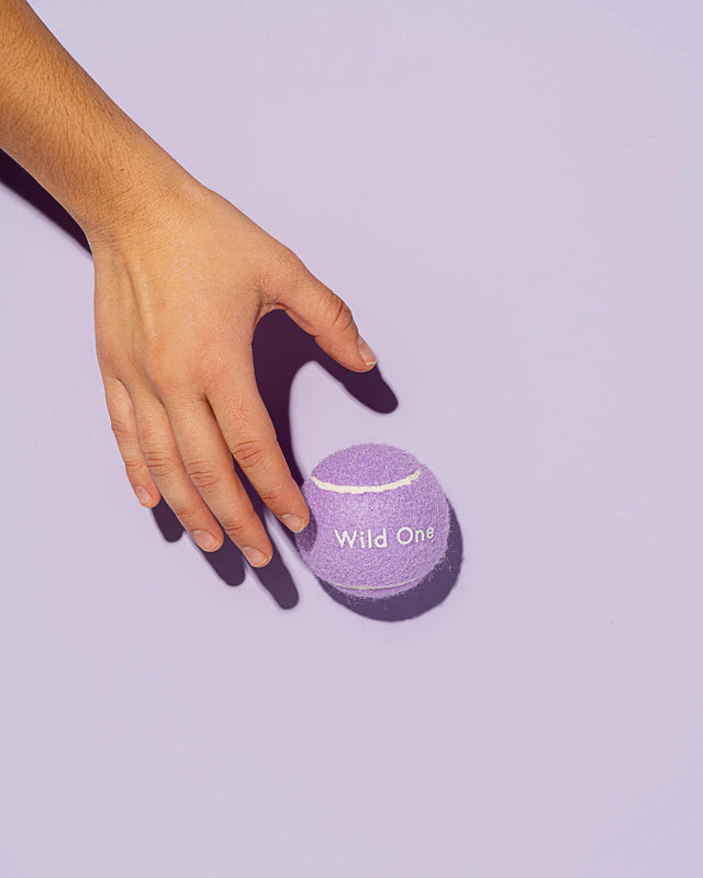 Wild One 4-Pack Dog Tennis Balls