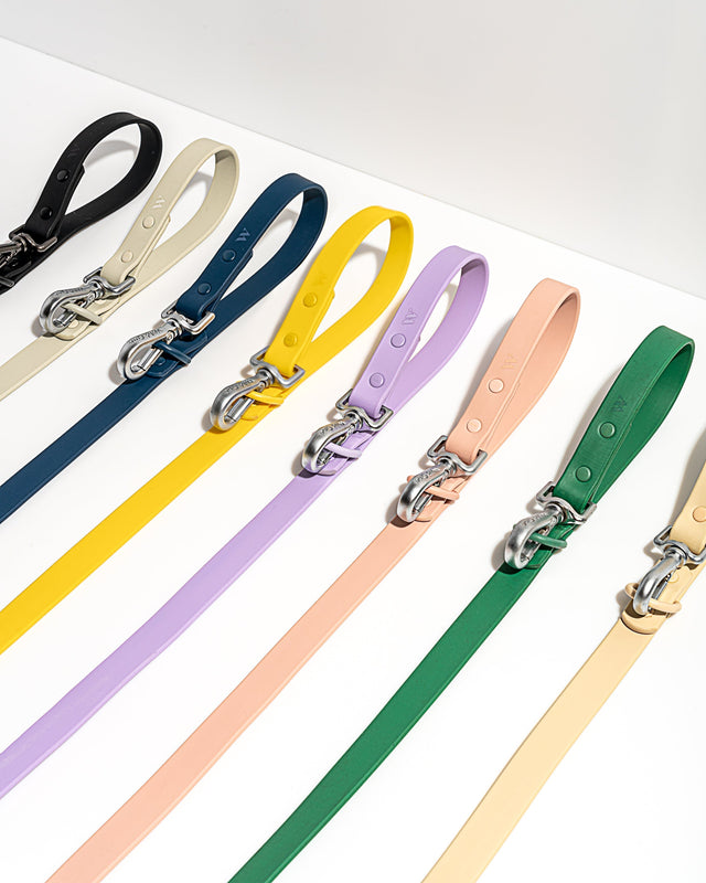 Wild One Dog Leash -Retro