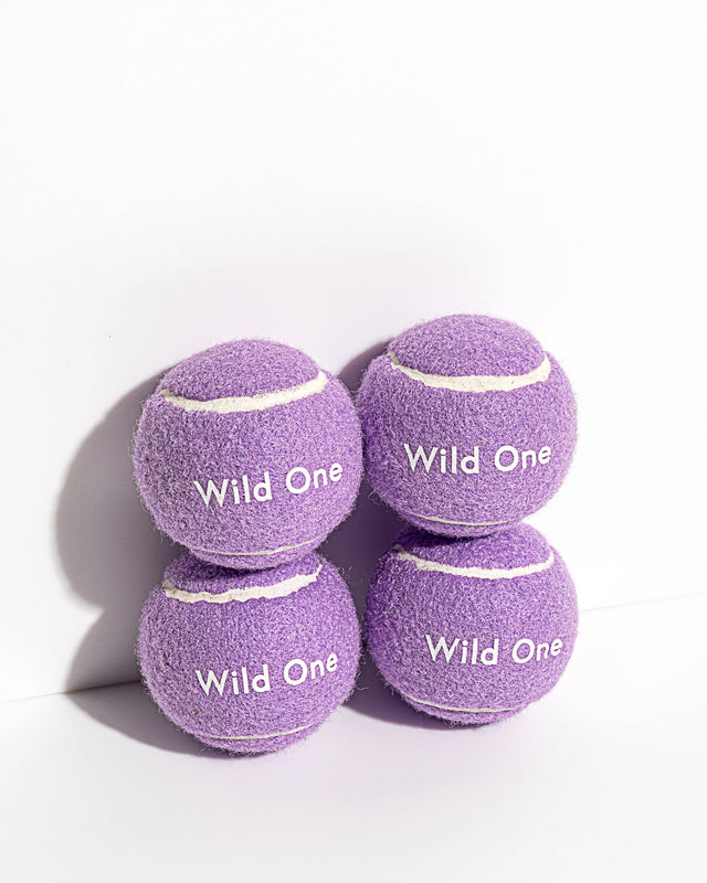Wild One 4-Pack Dog Tennis Balls