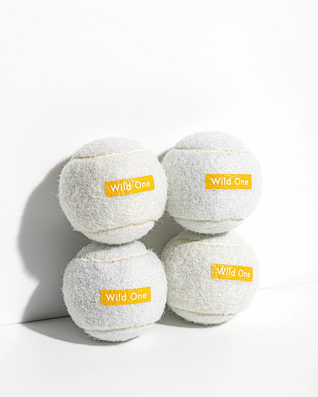 Wild One 4-Pack Dog Tennis Balls