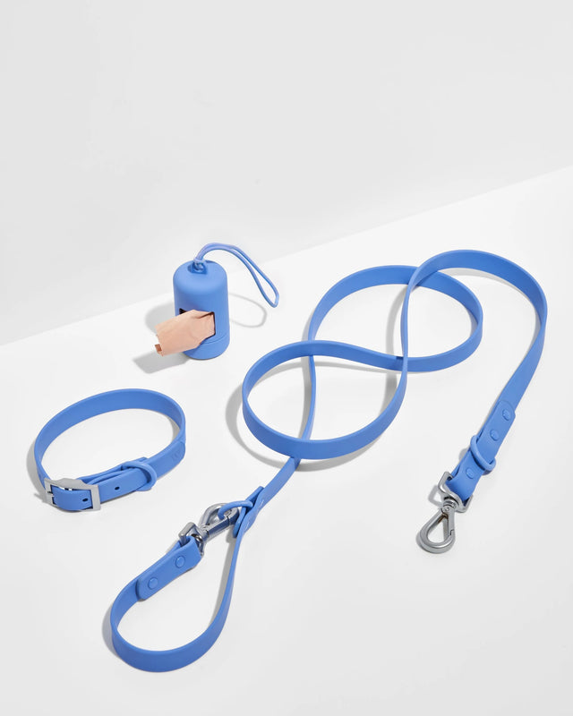 Wild One Dog Collar Walk Kit