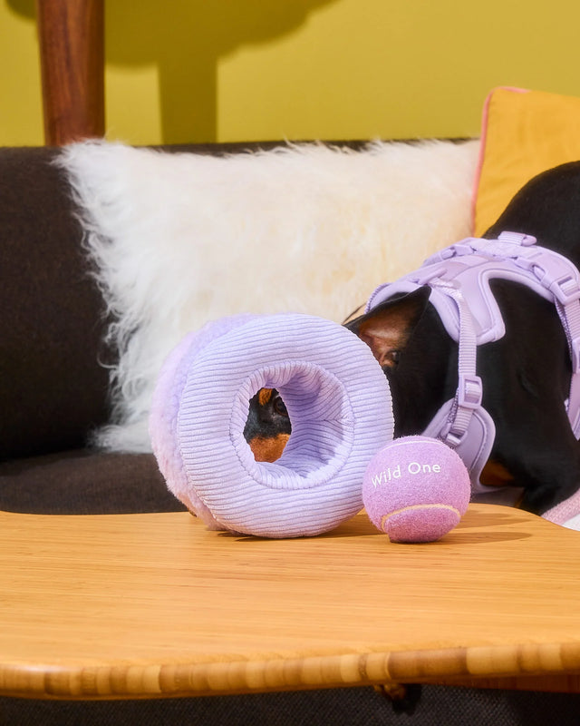 Wild One Dog Toy Tennis Tuft - Lilac
