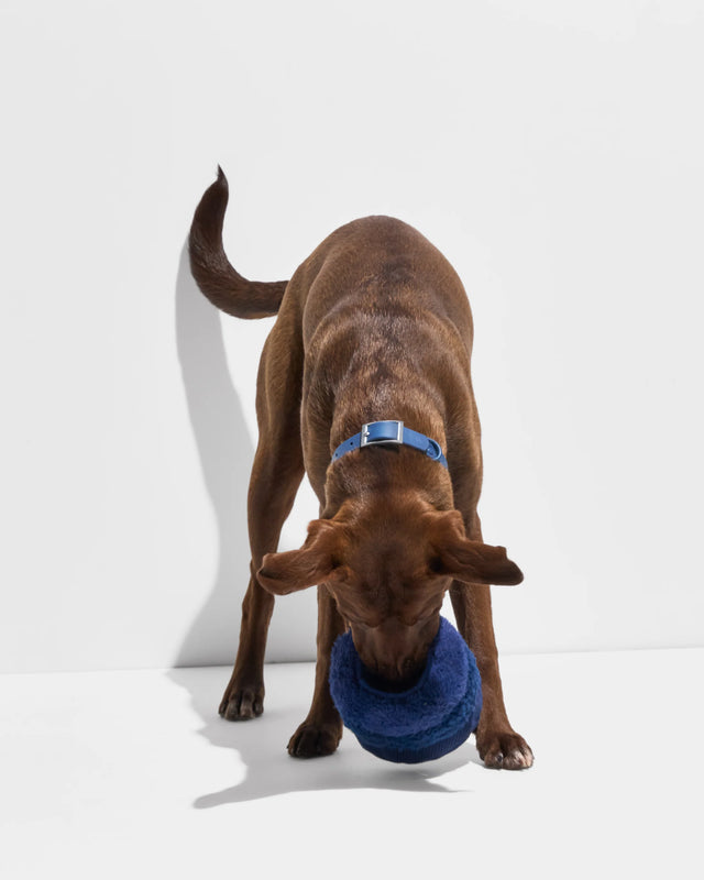 Wild One Dog Toy Tennis Tuft - Navy