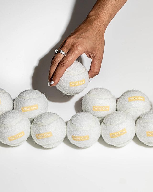 Wild One 4-Pack Dog Tennis Balls