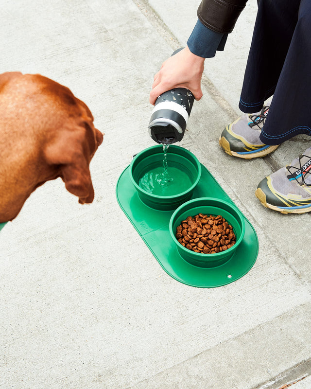 Wild One Dog Travel Bowl Duo - Spruce