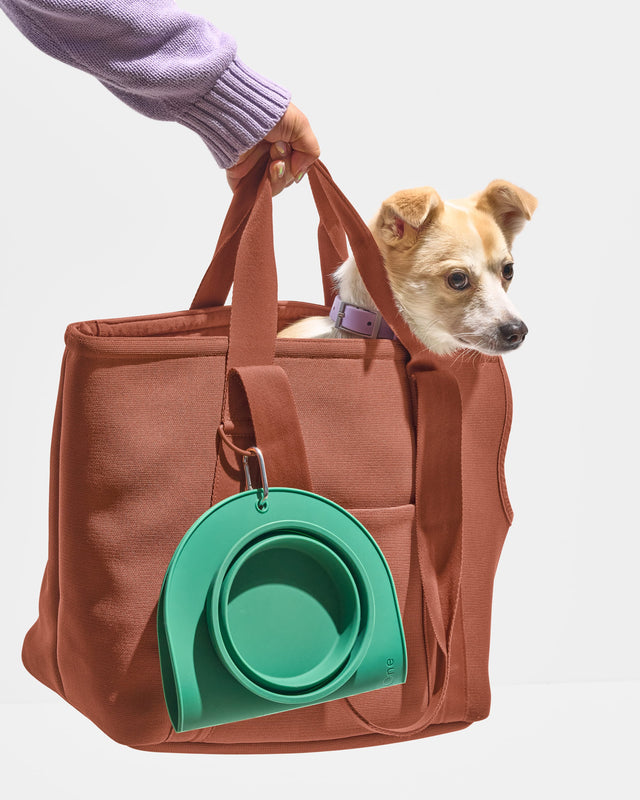 Wild One Dog Travel Bowl Duo - Spruce