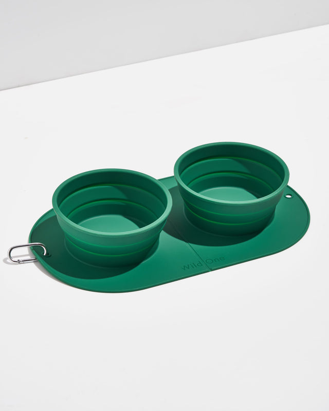 Wild One Dog Travel Bowl Duo - Spruce