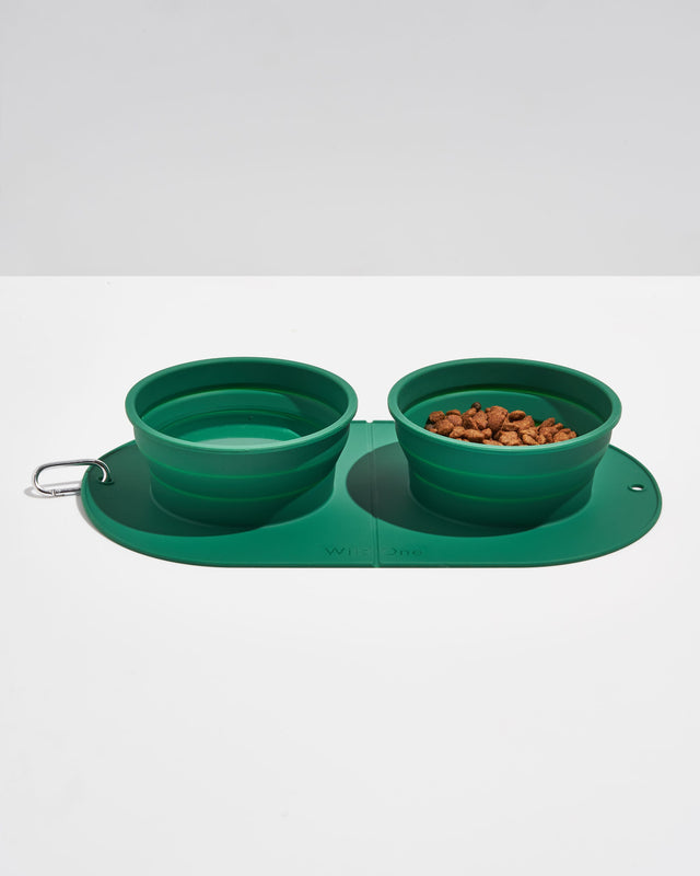 Wild One Dog Travel Bowl Duo - Spruce