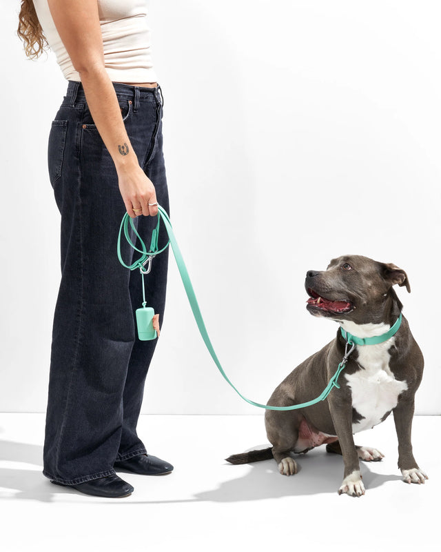 Wild One Dog Leash -Seafoam ✨ Limited Edition