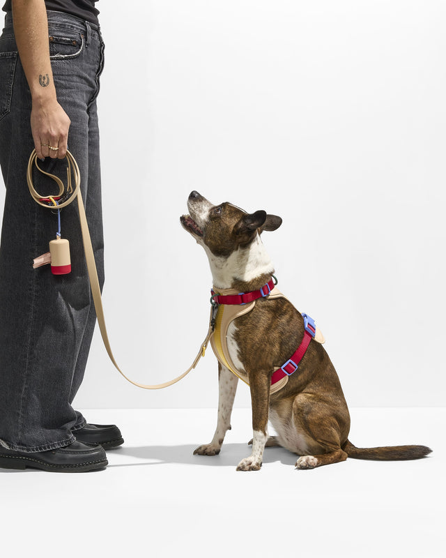 Wild One Dog Leash -Retro