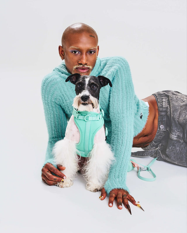 Wild One Dog Harness 2.0  - Seafoam ✨ Limited Edition