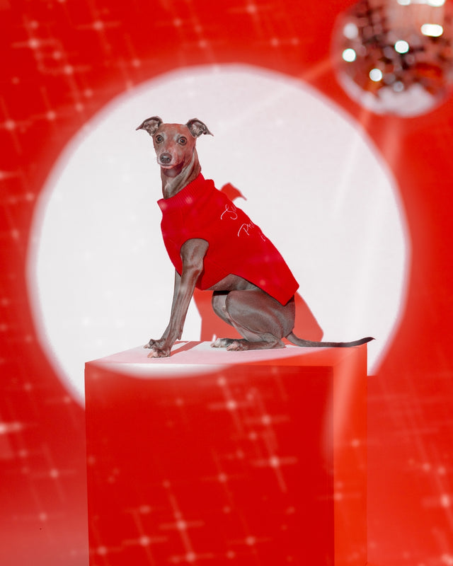 Max Bone Promise Good Christmas Dog Jumper