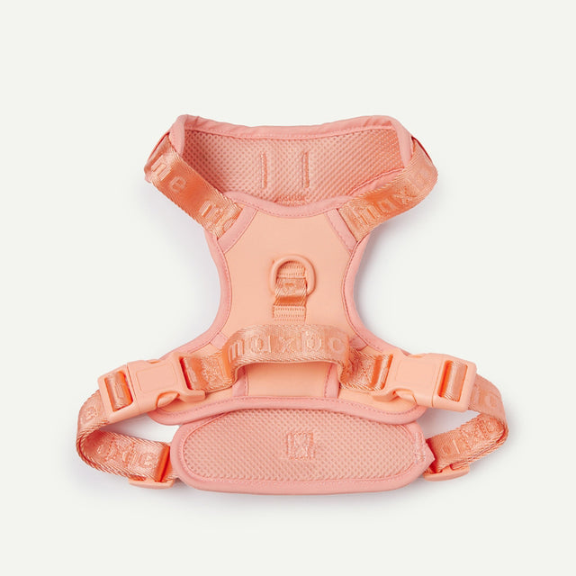 Max Bone Easy Fit Dog Harness - Coral Peach