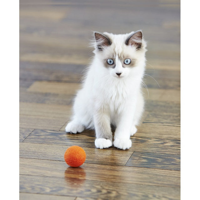 Meyou Paris Cat Toy Orange Boo
