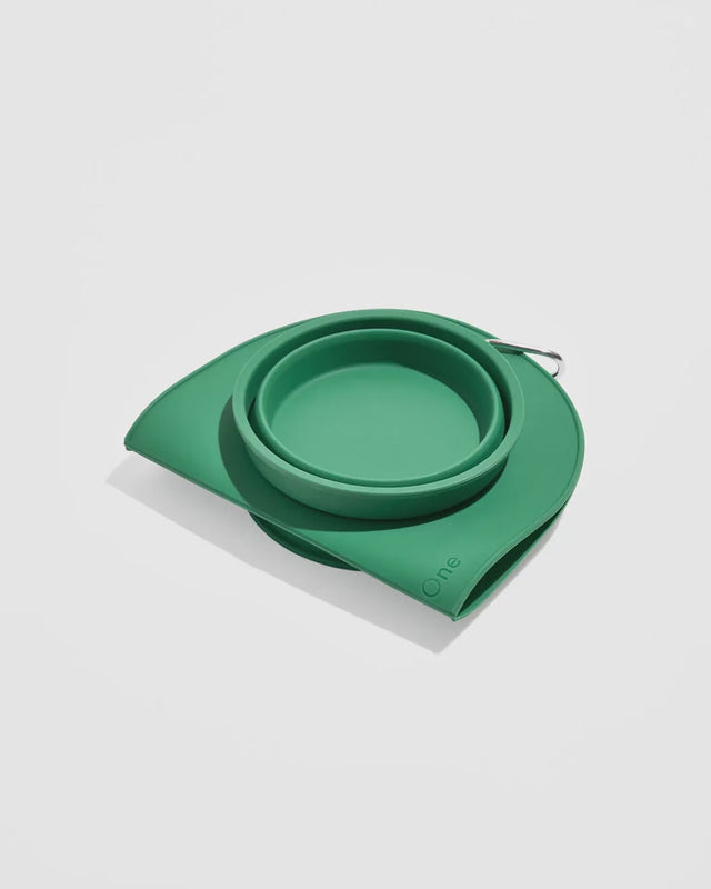 Wild One Dog Travel Bowl Duo - Spruce