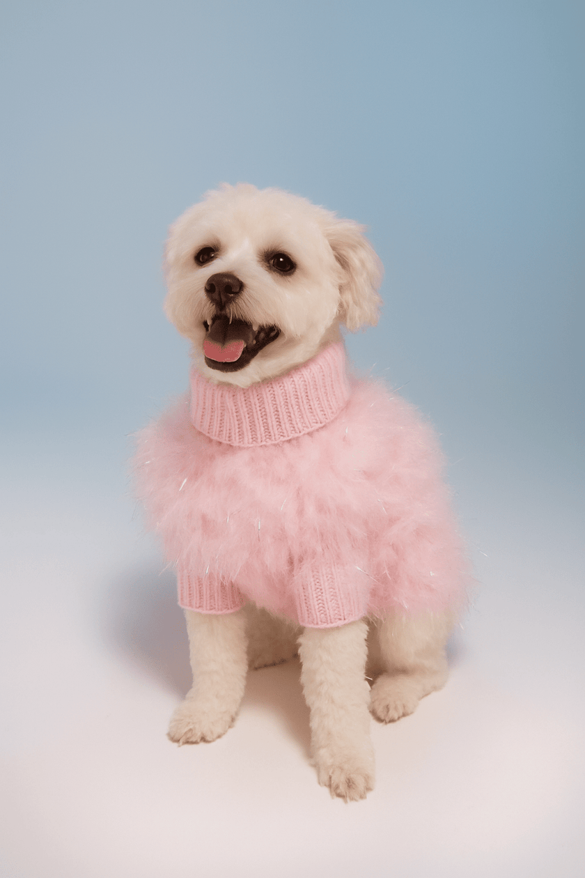 MaxBone Luxury Dog Clothing, Toys, Beds & Accessories - BYMiT
