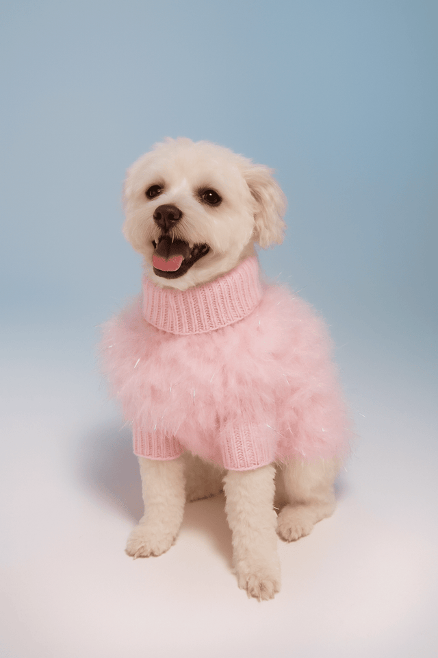 Christian Cowan X Max Bone Dog Jumper - Rose Quartz
