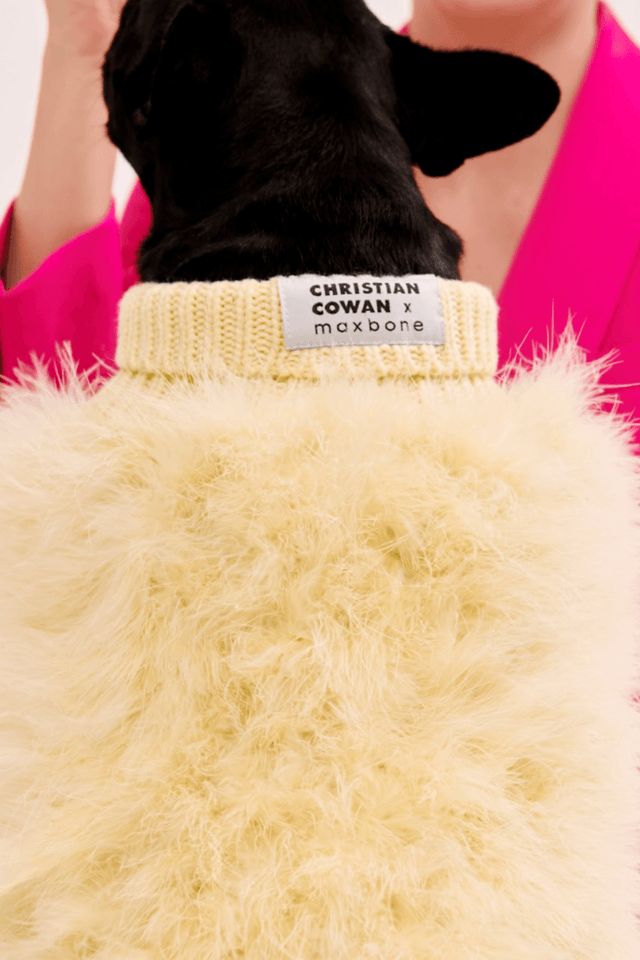 Christian Cowan X Max Bone Dog Jumper - Yellow