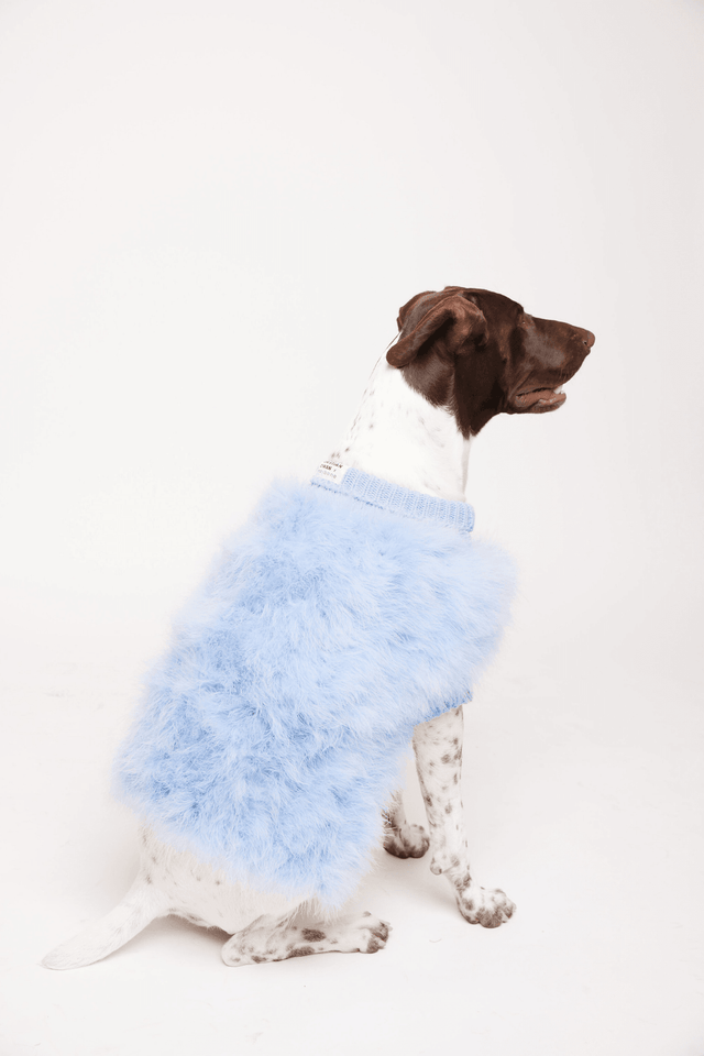 Christian Cowan X Max Bone Dog Jumper - Light Blue