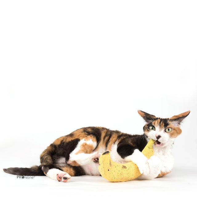 Profeline - DreamCat CatNip Toy Banana