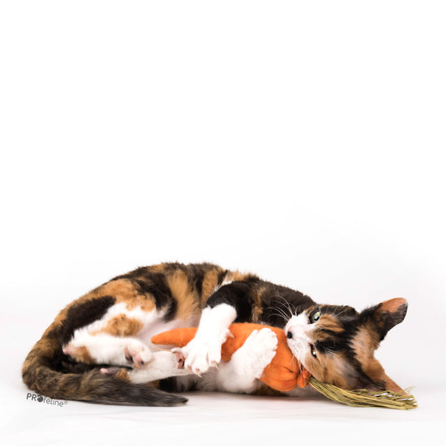 Profeline - DreamCat CatNip Toy Carrot