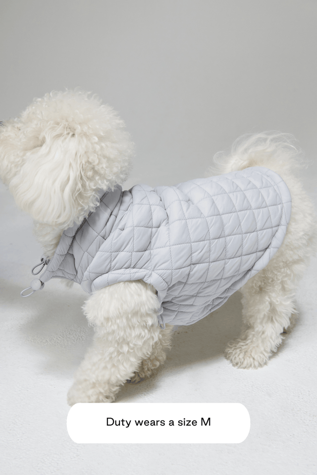 Max Bone Easy Fit Dog Jacket - Light Blue