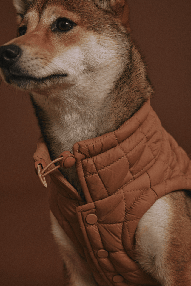 Max Bone Easy Fit Dog Jacket - Camel