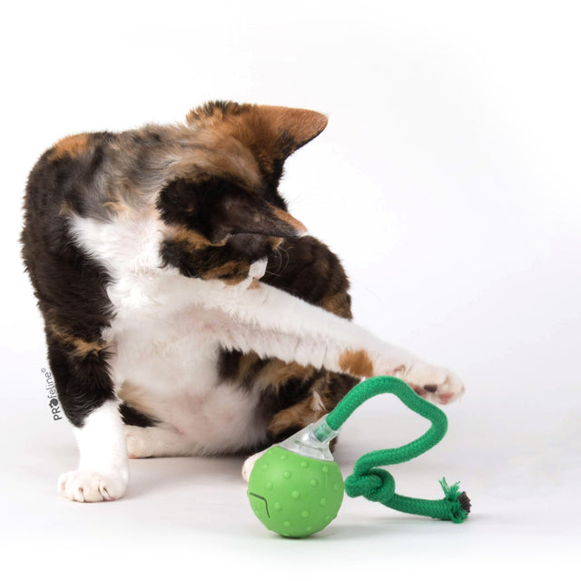 Profeline - Electric Smart Cat Toy