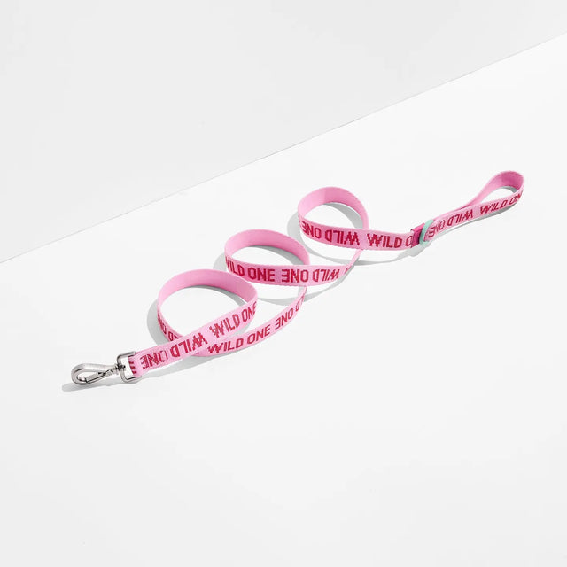 Wild One Lightweight Woven Dog Leash - Bubblegum