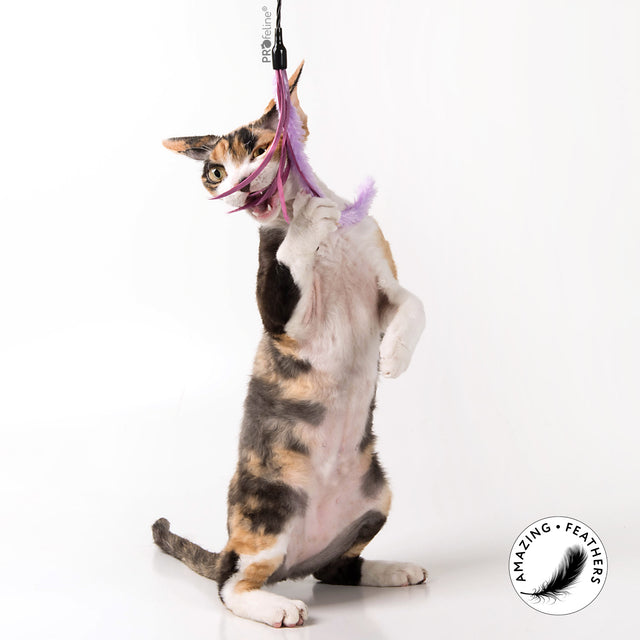 Profeline - Cat Teaser Pipe Wiper