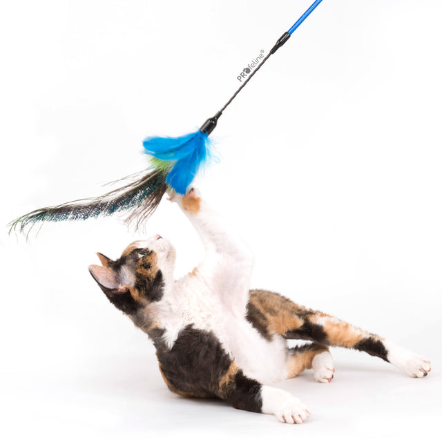 Profeline - Cat Teaser Peacock Dancer