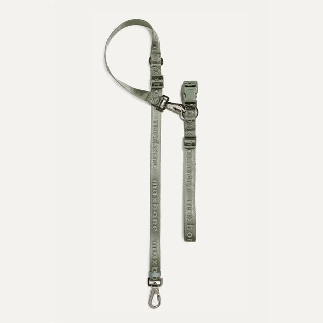 Max Bone GO! With Ease Hands Free Dog Leash - Sage