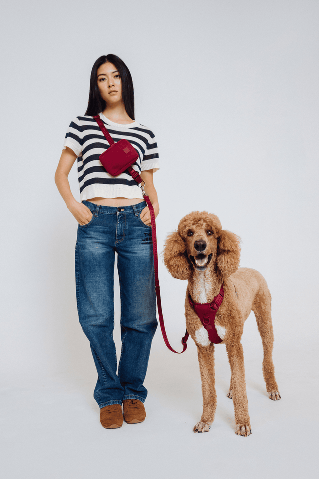 Max Bone GO! With Ease Hands Free Dog Leash - Cherry Cola