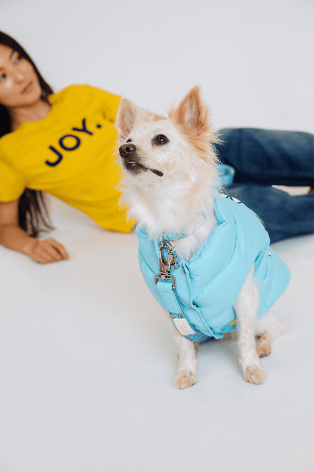 Hattie Stewart X Marc Jacobs X Maxbone Light Blue Dog Puffer Vest